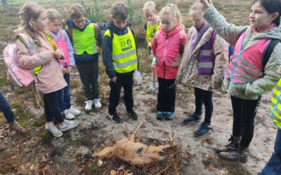 Naar het Drongengoed