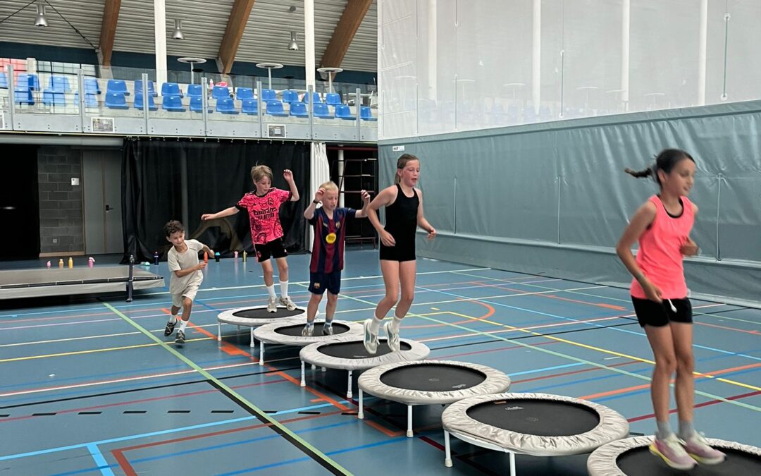 Sportdag
