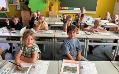 🐝 Dag 2 in ons bijennest