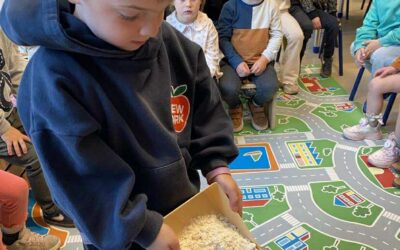 Hiep, hiep, hoera, klaspop Zoem is jarig !