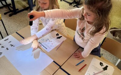 Thema: ‘Licht en donker’