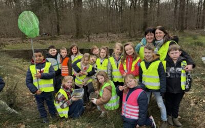 Op bezoek naar de kikkerpoel