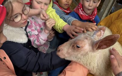 Boerderij