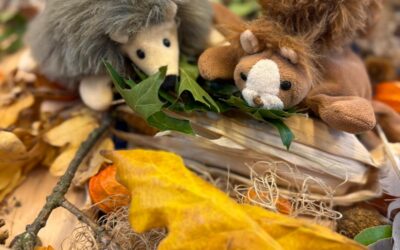 ๐ Week 6 in ons bijennest