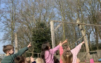 Vogels spotten hier en daar!