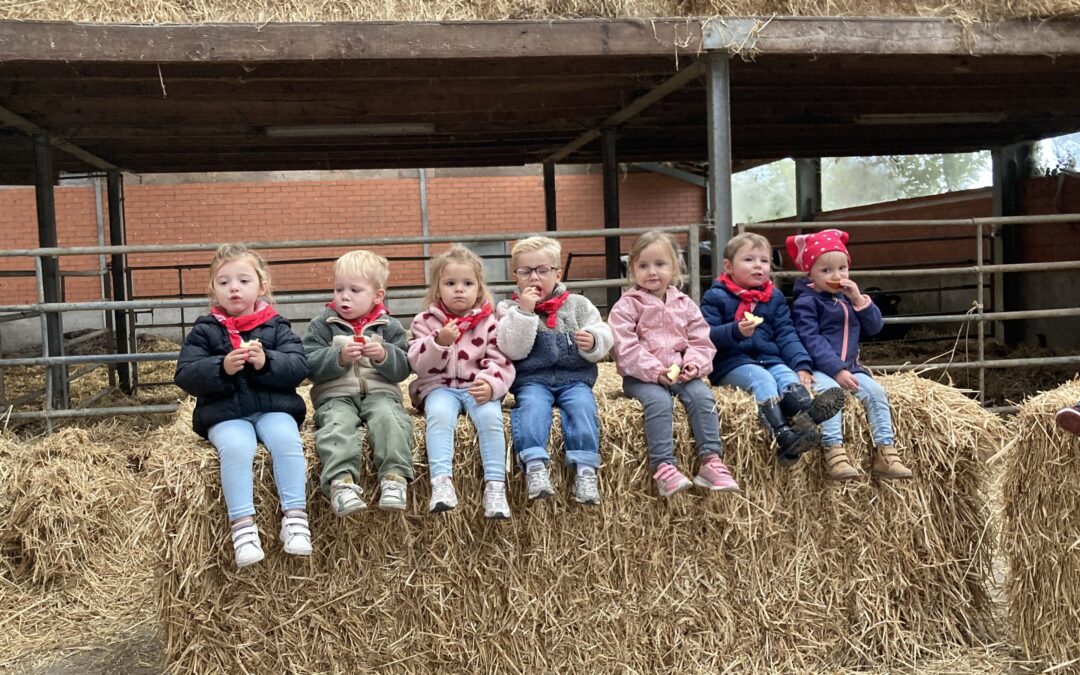 Op bezoek naar boerderij ‘Ter Paddepoele