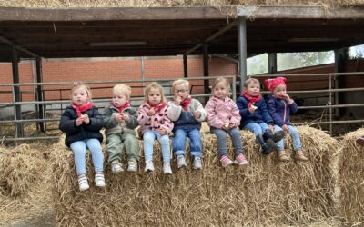 Op bezoek naar boerderij ‘Ter Paddepoele