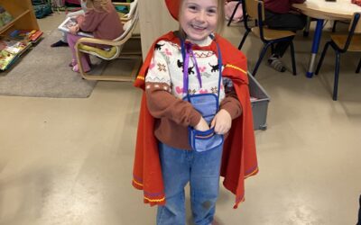 Het paard van Sinterklaas !