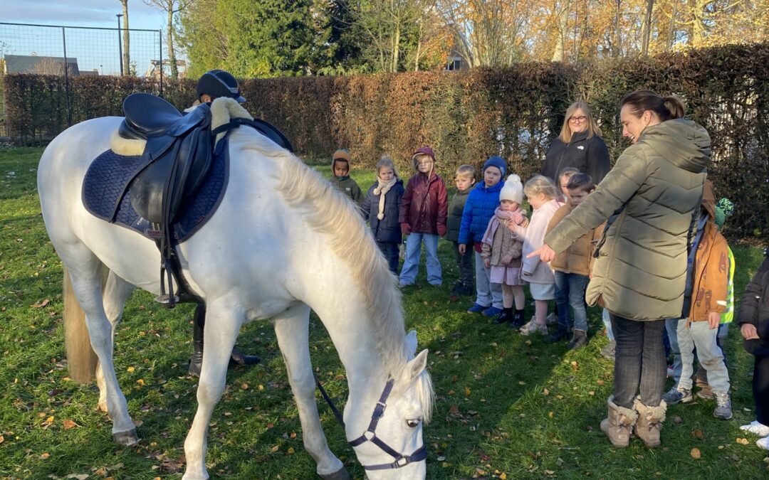 Slechtweervandaag op bezoek !
