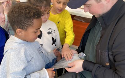 Papa van Jérom kwam op bezoek met duiven .