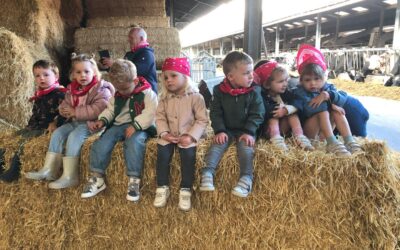 Het leven op boerderij “Ter Paddepoele”