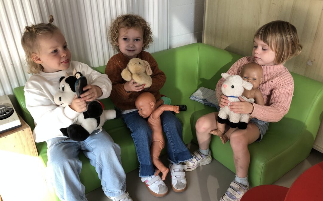 De naverwerking van ons boerderijbezoek.