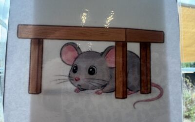 We leren begrippen met Mozarella