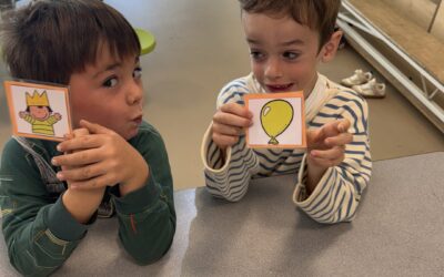 Zoek het juiste vriendje