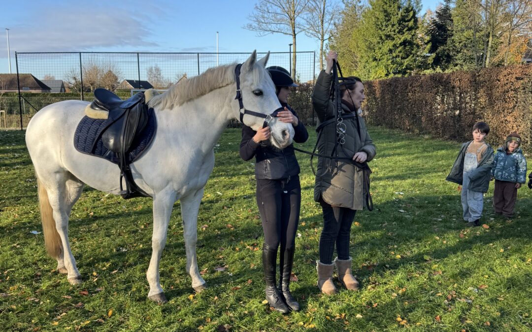 Slechtweervandaag op bezoek