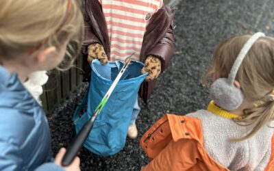 🐝 We zijn de mooimakers!