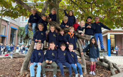 ๐ Week 7 in ons bijennest