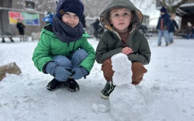 🐝 Terug in de klas na de kerstvakantie