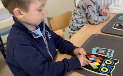 welkom in de uilenklas