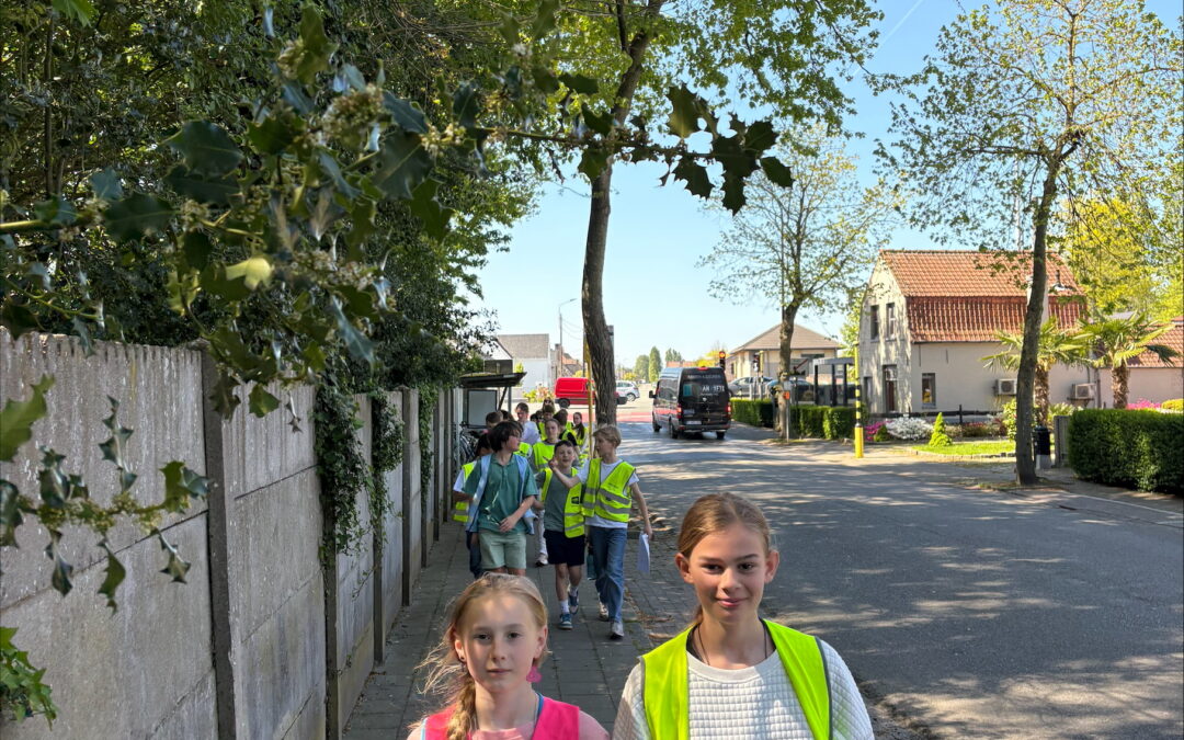 Verkeerswandeling